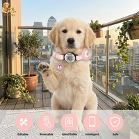Silikon-Haustierhalsband mit Glocke und Anpassbarem QR-ID-Tag, IP67 Wasserdicht, Reflektierender GPS-Tracker für Katzen und Hunde