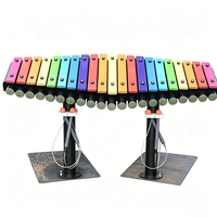 Outdoor Steel-Tuned Xylophone Percussion Instrument Rhythm Master for Playground Equipment