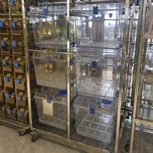 Laboratorio scatola animale materiale PC vasca sistema <span class=keywords><strong>IVC</strong></span> ventilato singolarmente coniglio gabbie di allevamento - Product Image 1