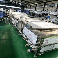 Volledig automatische productielijn voor diepvriesfrieten van 304 roestvrij staal, 100 kg/uur, inclusief vriezer voor de verwerking van aardappelchips.