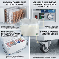 Congélateur coffre commercial autonome 385L, température unique, refroidissement direct, acier inoxydable, 2 portes, pour la conservation de viande fraîche et de fruits de mer
