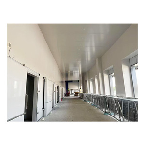 Chambre froide industrielle sur mesure à <span class=keywords><strong>prix</strong></span> réduit pour le stockage de fruits, légumes et viande – Congélateur de plain-pied - Product Image 5