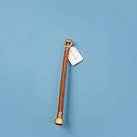 Connecteur de chauffe-eau en cuivre ondulé 3/4 FIP x 3/4 FIP, tuyau flexible pour eau chaude, usine OEM