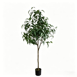 Ramas de eucalipto preservadas de aspecto aromático con hojas plateadas en forma de moneda para decoración de despedidas de soltera y baños de spa - Product Image 1