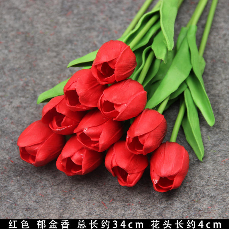 Red Tulip/Flower