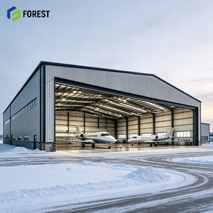 Hangar Modular de Acero Resistente a la Intemperie, Centro de Estructura de Acero Prefabricado para Aviones, Depósito de Aviación de Gran Envergadura - Product Image 1