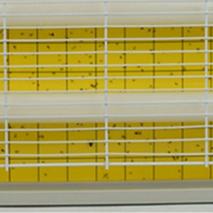 Piège à colle pour mouches à taux de capture élevé, adhésif puissant, non toxique, pour le contrôle des nuisibles à la maison et au niveau commercial - Product Image 3