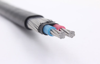 Câble concentrique à conducteurs en cuivre SER SEU 3/6 AWG
