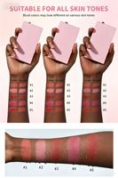Palette de fard à joues double teinte végétalienne, crème et poudre mate, résistante à l'eau, longue tenue, pour marque privée, vente en gros