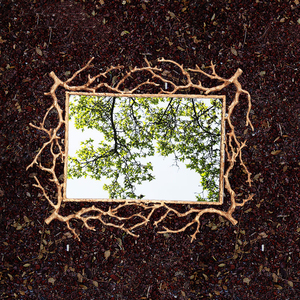 <span class=keywords><strong>Grand</strong></span> <span class=keywords><strong>miroir</strong></span> mural de maquillage en <span class=keywords><strong>cuivre</strong></span>, design luxueux, avec branches, en verre irrégulier - Product Image 6