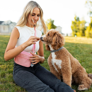 Sac banane personnalisé pour dressage de chiots en extérieur avec pochette amovible pour friandises et sacs à déjections canines, sac de promenade pour chien à porter en bandoulière - Product Image 2