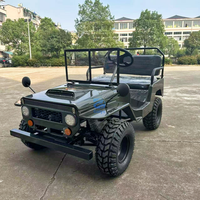 Mini jeep 2 places, moteur chinois, jeep à essence, go-kart, mini véhicules à essence pour adultes, voitures, buggy électrique, mini jeep
