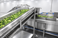 Diepvriesgroenten IQF, gesneden gemengde groentenmix, stoombaar, klaar om te koken, bulkverpakking voor soep, stoofpot, restaurantvoorziening