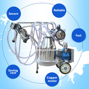 Máquina automática de leche de vacas Máquina de ordeño Máquina lechera <span class=keywords><strong>Precio</strong></span> de ordeño - Product Image 6