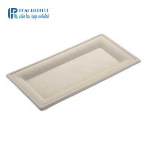 Assiette jetable rectangulaire compostable écologique et naturelle de 10x5 pouces, en pulpe de bagasse biodégradable, pour les restaurants, les fêtes - Product Image 2
