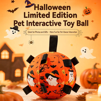 Jouet interactif pour animaux de compagnie pour Halloween avec poignées en ruban pour chats et chiens