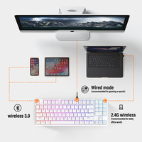 Pembuatan Profesional dengan Harga Murah Nirkabel Kabel 2 Mode 15 Rgb Backlight Gaming 61Keys 60 Persen 60% Mechanical Keyboard
