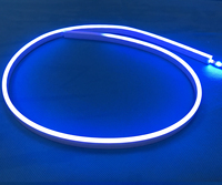 Bande LED néon étanche 6*16mm 1010 DC24V, indice de protection IP67, corps en silicone pour plafond et armoire domestique