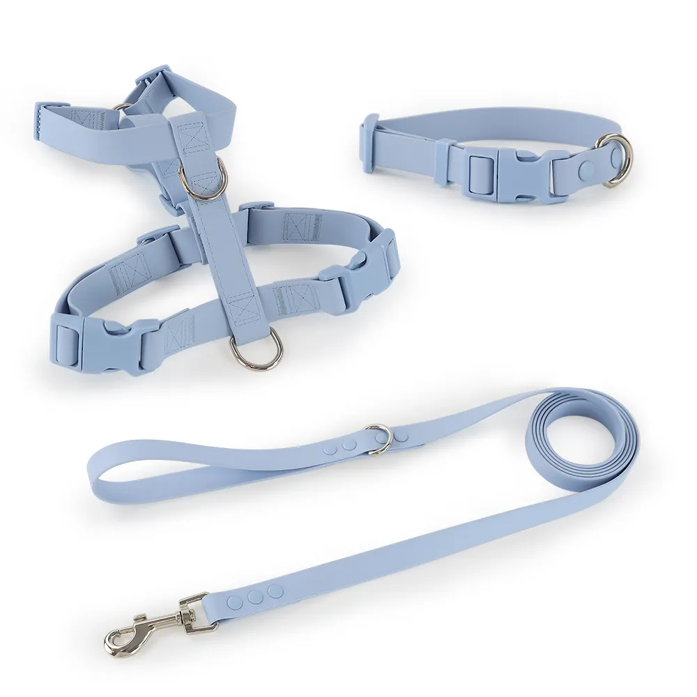 Collare per cani guinzaglio e imbracatura fettuccia impermeabile in PVC cinghia regolabile facile da pulire collare per guinzaglio per cani in PVC Set di imbracature per cani