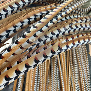 140 Cm Lớn Tự Nhiên Reeves Gà lôi Đuôi Lông Cho Lễ Hội Samba Khiêu Vũ Trang Phục Trang Trí Quần Áo Phụ Kiện - Product Image 2