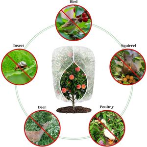 Filet anti-insectes Cy Chengye en HDPE blanc pour la lutte contre les parasites des plantes et la protection des arbres fruitiers - Product Image 1