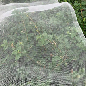 ตาข่ายพอลิเอทิลีนกันแมลงชนิดเดี่ยวใสสำหรับสวนผลไม้ไร่องุ่น - Product Image 1