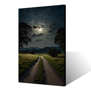 Realistico paesaggio Country tela arte da parete cielo stellato sereno con percorso illuminato dalla luna e tecnica di verniciatura a spruzzo scenario notturno - Product Image 4