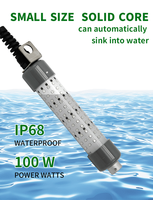 Lampes de pêche LED personnalisées 100W 200W 600W, 12V, sous-marines, pour attirer les calmars et les thons, lampes de pêche en eau profonde pour quais et bateaux