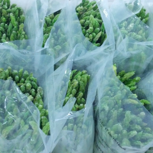 Asperges surgelés à texture tendre, fraîchement cueillis, sélectionnés avec soin, tiges entières, pour le commerce en gros - Product Image 1
