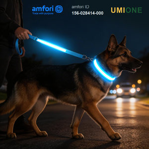 Laisse pour chien LED rechargeable USB-C, sécurité nocturne, laisse lumineuse pour animaux de compagnie, haute visibilité, 3 modes clignotants, laisse en nylon durable pour chiens - Product Image 1