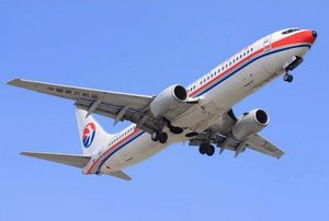 빠르고 저렴한 항공화물 운송업자 중국에서 트빌리시/TBS 조지아 익스프레스 배송 서비스 - Product Image 4