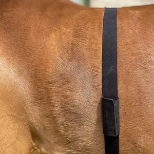 Monitoraggio della frequenza <span class=keywords><strong>cardiaca</strong></span> del cavallo monitoraggio della frequenza <span class=keywords><strong>cardiaca</strong></span> cintura della <span class=keywords><strong>fascia</strong></span> del cavallo per equestre - Product Image 5