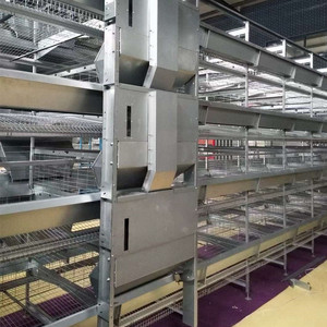 Offre Spéciale <span class=keywords><strong>poulailler</strong></span> en acier de type H ferme avicole utilisée condition pour les <span class=keywords><strong>poules</strong></span> pondeuses en batterie de couche avec système de collecte automatique - Product Image 2