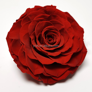 Eterna rosa 9 - 10 cm grande immortale lunga vita fiore rosa rosas eterno conservato rosa per regalo fai da te san valentino matrimonio - Product Image 1