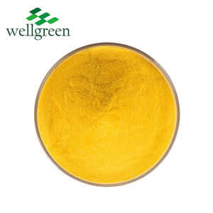Wellgreen CAS 303-98-0 убихинон 10%,20%,40% водорастворимый коэнзим Q10 порошок - Product Image 3