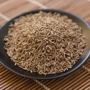 Cumin Séché Nouvelle Récolte en Gros à Prix Usine – Herbes et Épices Brutes, Graines de Cumin - Product Image 2