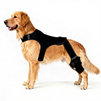 Attelle de soutien pour genou de chien en néoprène avec sangles pour la récupération des blessures et le soulagement de l'arthrite, adaptée aux chiens de taille moyenne à grande