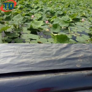 Géomembranes HDPE pour bassin à lotus 0,5 mm 0,75 mm, revêtement pour bassin à tilapias 1,5 mm 2 mm, revêtement pour lac artificiel et barrage - Product Image 2