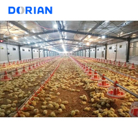Mise en page de conception entièrement automatisée pour l'élevage de poulets de chair de poulet de couche au Pakistan