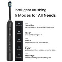 Ensemble de brosses à dents électriques rechargeables, poils doux, étanches IPX7, 5 modes, blanchiment des dents pour adultes, usage domestique, batterie longue durée