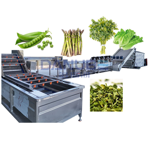 Secador de Alimentos Comercial para Cilantro, Espárragos, Guisantes Verdes, Apio y Otras Verduras - Product Image 1