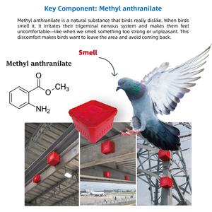 Blocco Repellente per Uccelli Ecologico a Lunga Durata e ad Alte Prestazioni per Edifici con Strutture in Acciaio, Efficace per 12 Mesi - Product Image 5