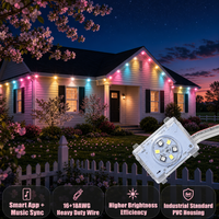 Contrôleur intelligent 48V pour lumières de Noël et de fêtes, 300ft 400ft 500ft, lumières ponctuelles RGBW pour la décoration des bâtiments
