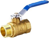 Robinet à bille en laiton à double couleur avec noyau en fer de haute qualité, raccord mâle 2 pouces, étanchéité manuelle en PTFE, garantie 3 ans, vanne d'eau OEM