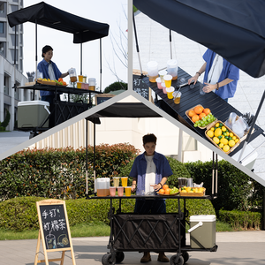 Customizable <b>Foldable</b> Cart with Wheels for Street Vendors High Loading Capacity Wagon <b>Trolley</b> Cart with Roof - Product Image 5