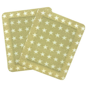 OEM ODM لصقة آلام العضلات من مورد الصين منتج جص صيني مخصص - Product Image 2