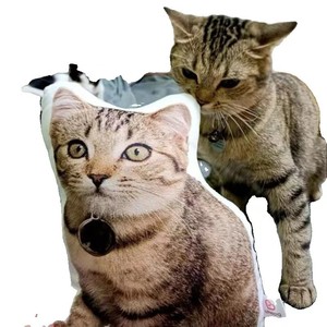 Coussin décoratif personnalisé en peluche et coton PP, simulation 3D d'animal domestique humanoïde - Plusieurs tailles, cadeau d'anniversaire pour petite amie - Product Image 5