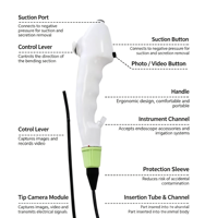 Endoscope jetable à usage unique, sonde flexible, outil portable pour l'inspection et le traitement quotidiens en clinique vétérinaire