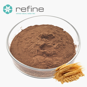 Factory Supply Barley Malt Extract Powder 10:1 20:1 Grain Extract Pure Natural Organic Barley Malt Powder for Beer Brewing - Product Image 3