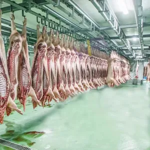 Fabrieksleverancier Varkensslachthuis Apparatuur Fabriek Varkensvleesverwerkingsmachine Voor Het Slachten Van Zeugenvarkens